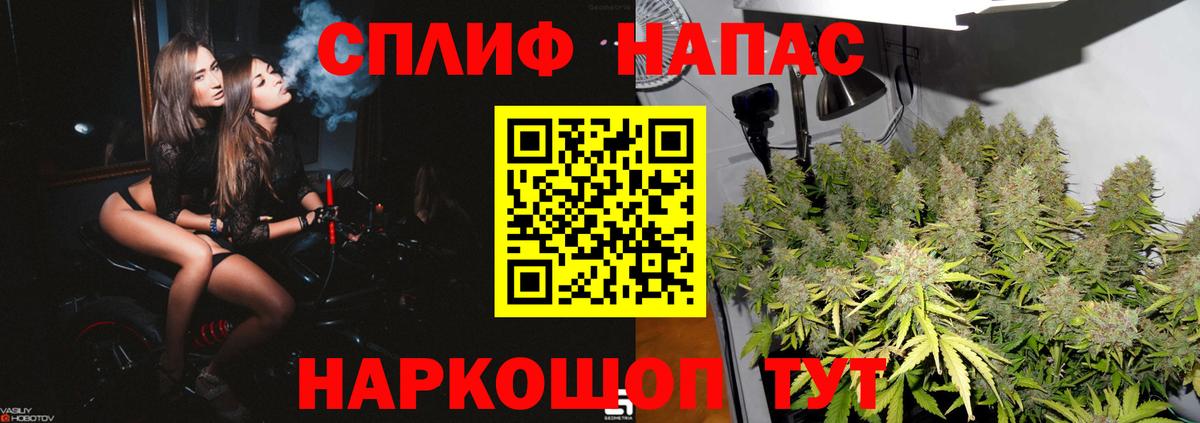 Бошки Шишки VHQ Ейск